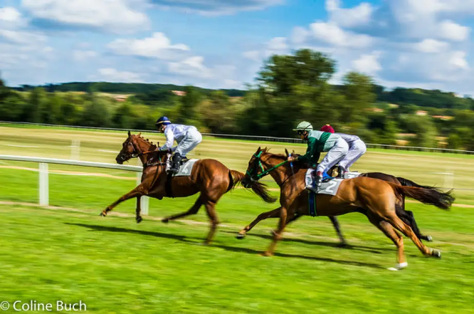 McKinsey mandaté sur la réorganisation de la filière des courses hippiques