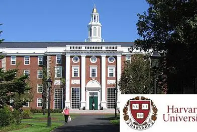 McKinsey se paie la rémunération des managers d’Harvard