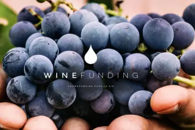 winefunding